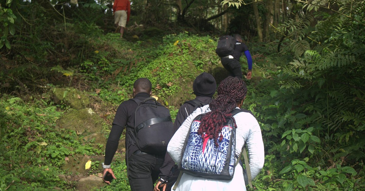 Cameroon travel eSIM with fast 5G/4G/LTE mobile data coverage from MegaEsim