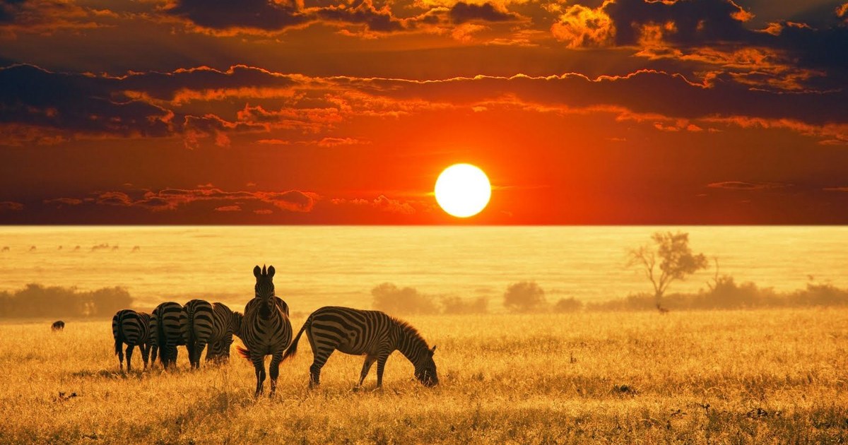 Kenya travel eSIM with fast 5G/4G/LTE mobile data coverage from MegaEsim