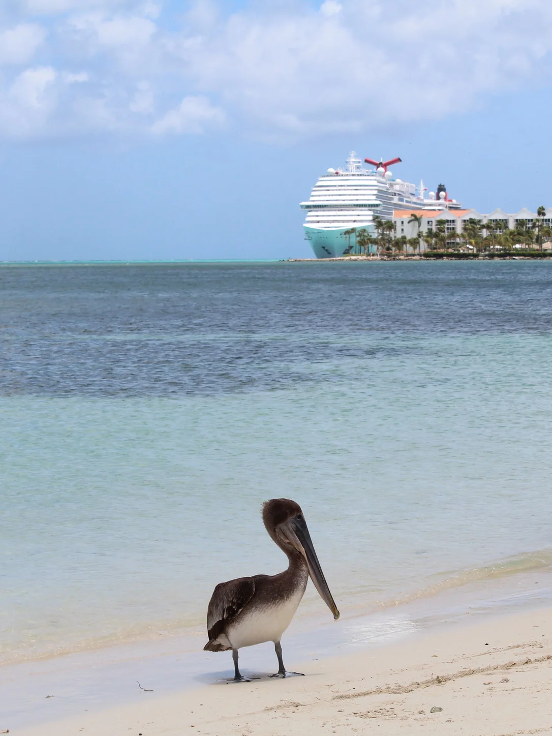 Aruba travel eSIM with fast 5G/4G/LTE mobile data coverage from MegaEsim