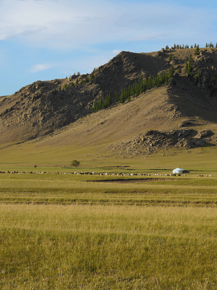 Mongolia travel eSIM with fast 5G/4G/LTE mobile data coverage from MegaEsim