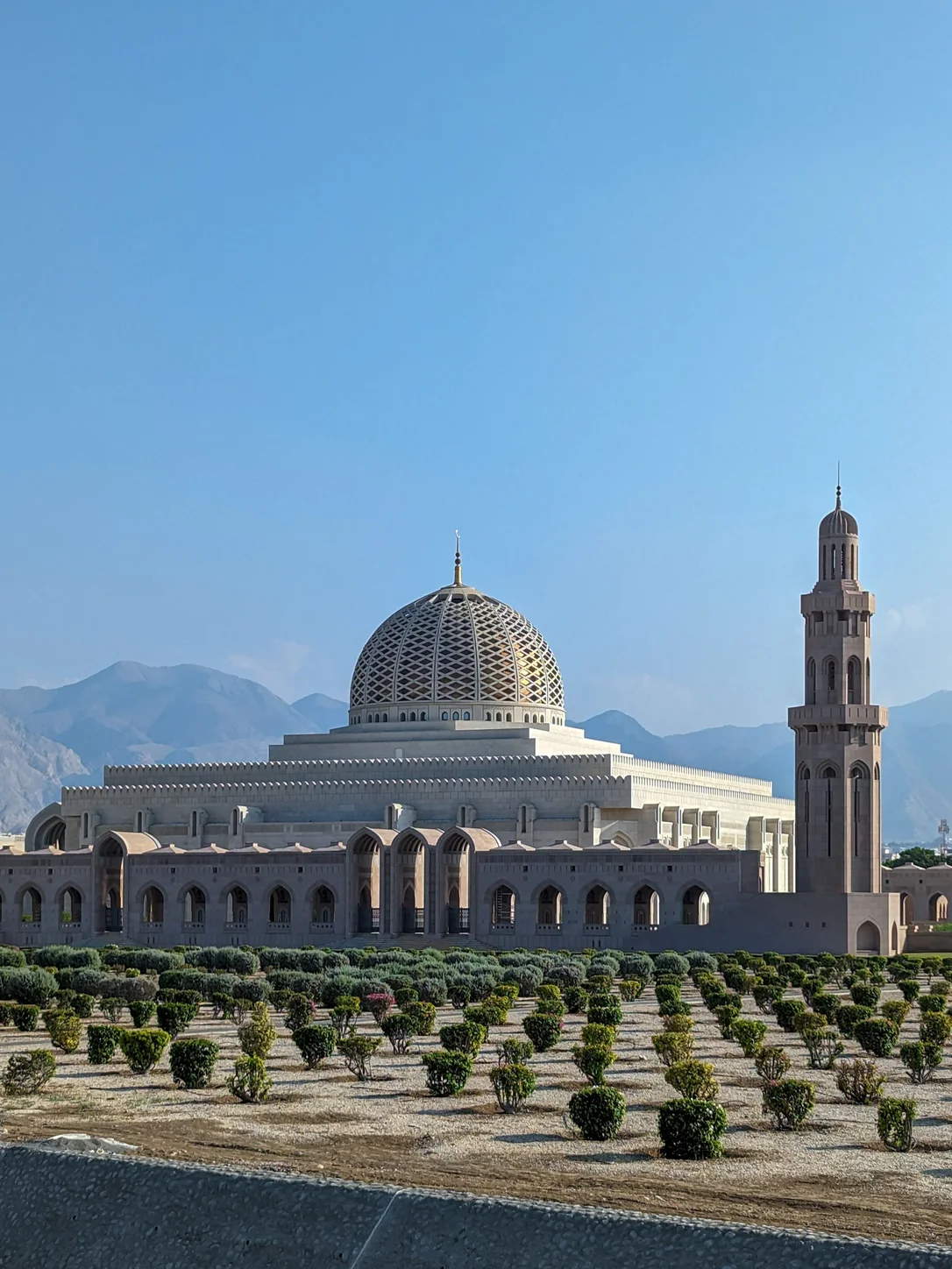 Oman travel eSIM with fast 5G/4G/LTE mobile data coverage from MegaEsim